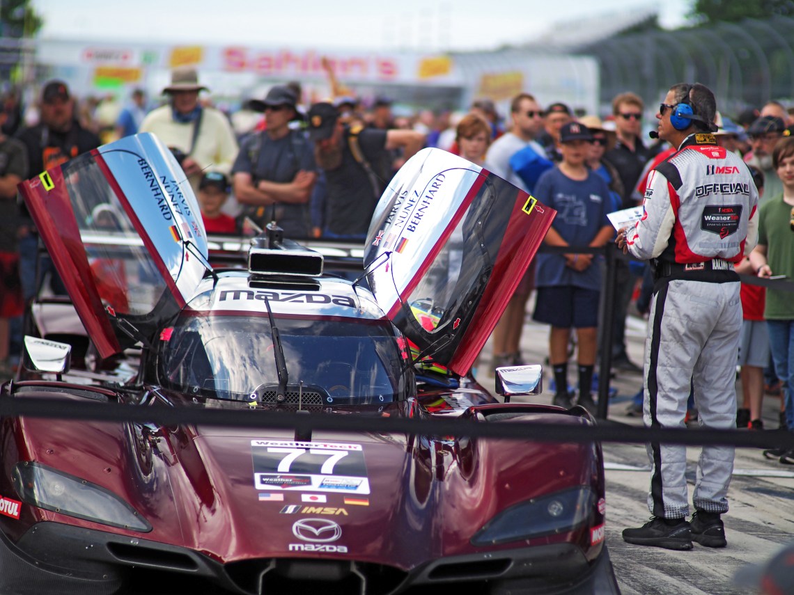 Pre-race fan walk pit lane.