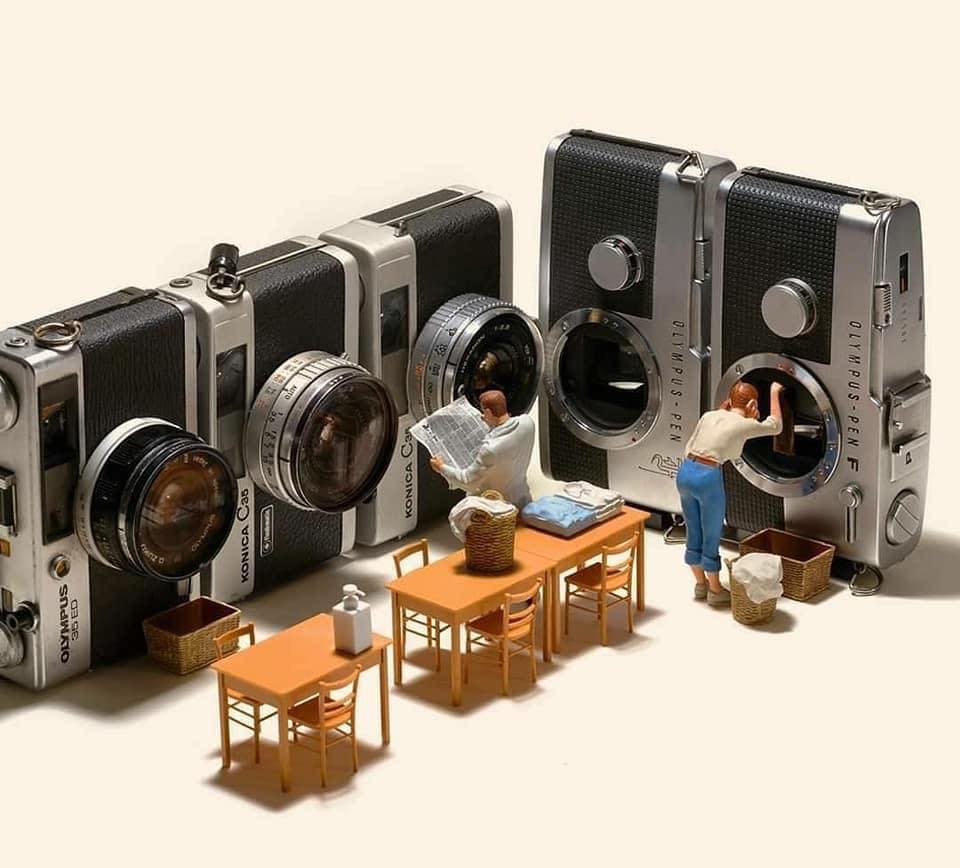 117305535_1539054639588580_1271434362360333926_n