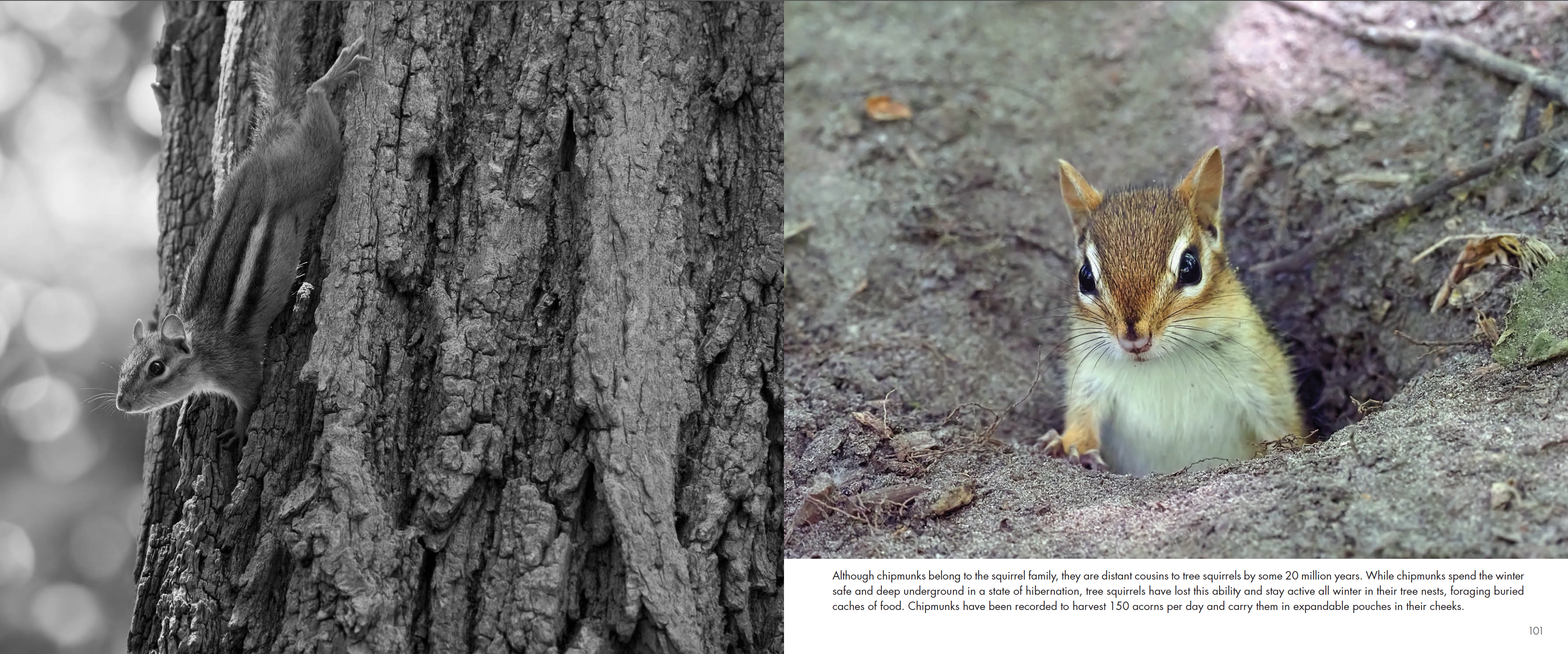 screen-shot-2020-10-03-at-11.57.46-am