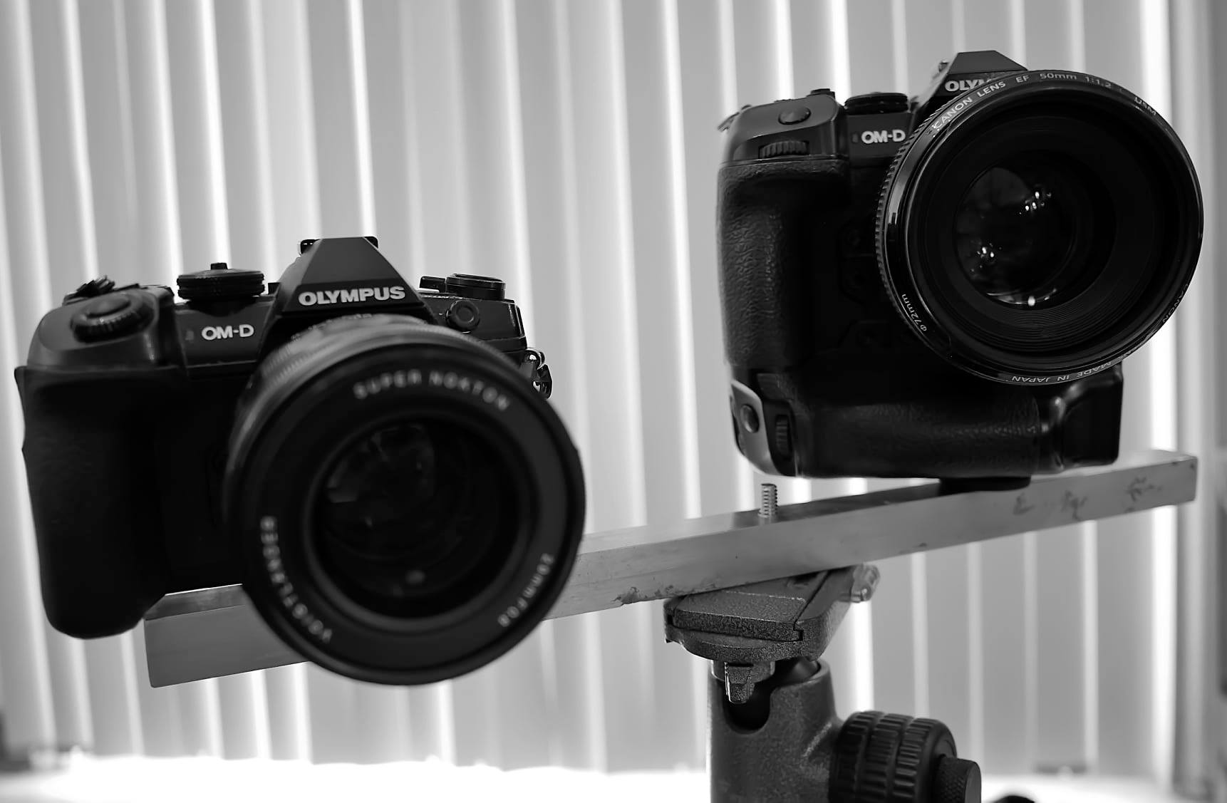 244685752_10226582355053463_855339410657741857_n