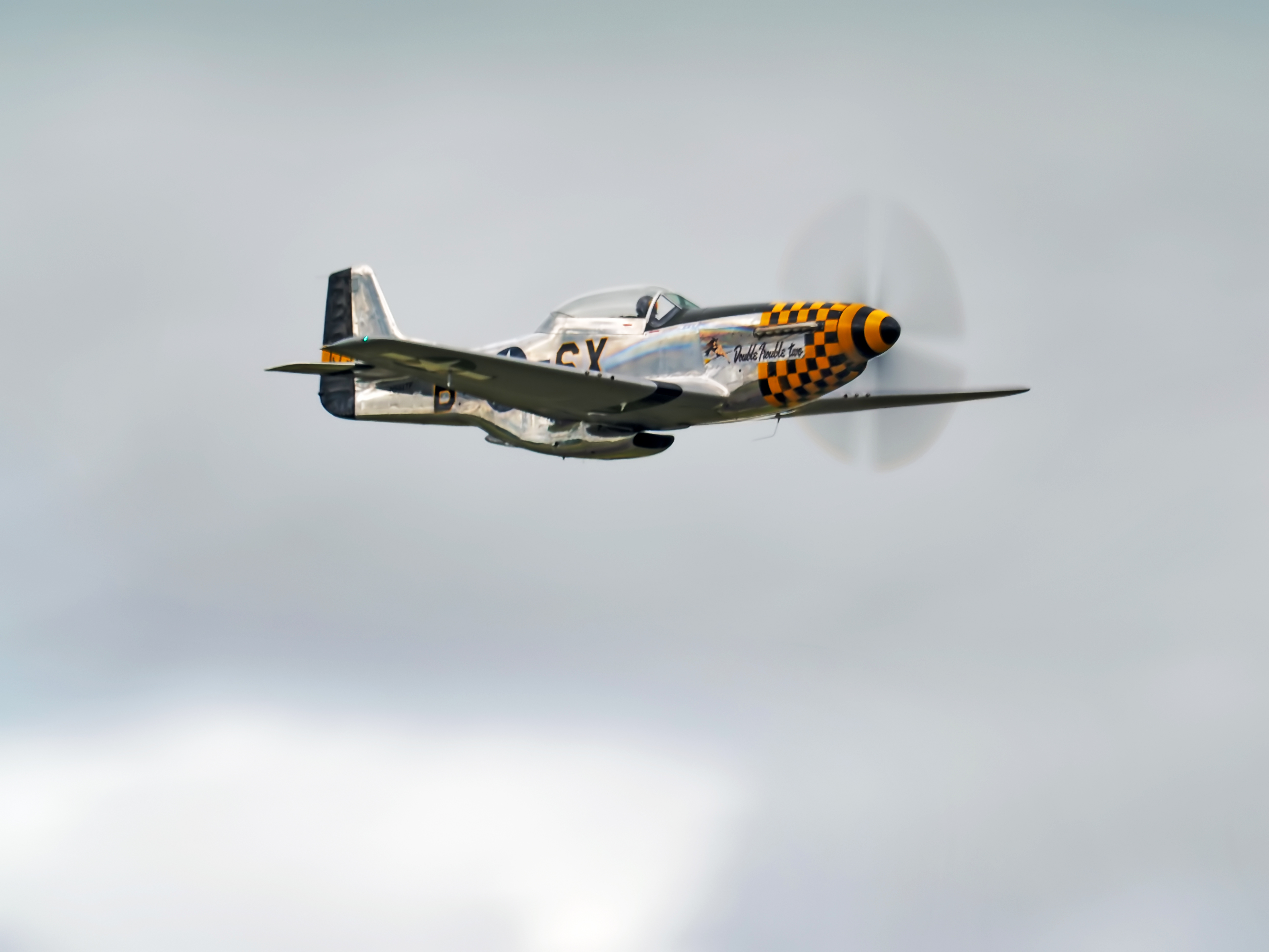 P-51 Mustang of Stampede Aviation.  "Double Trouble too"