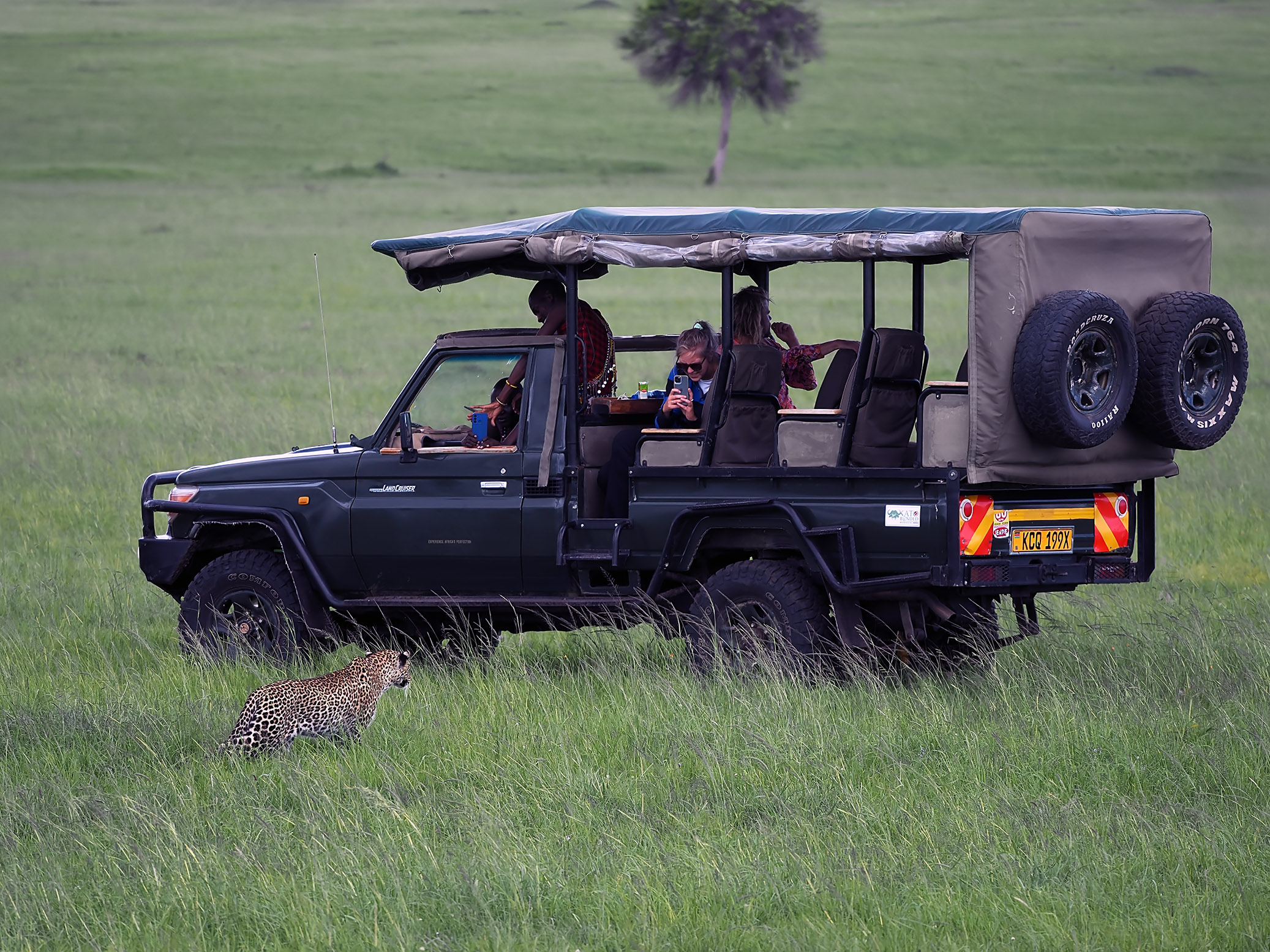 CheetahVehicle(small)