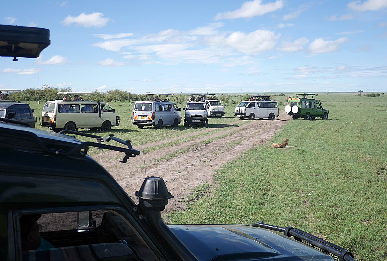 SafariandtheCheeth(small)